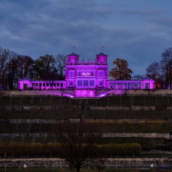 7. Welt-Pankreaskrebstag (WPCD) 2020